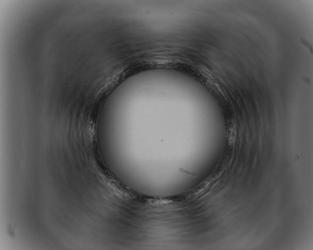 X0000092000476200709061244