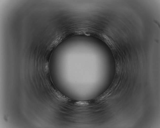 X0000092000477200709061244