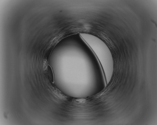 X0000092000478200709061244