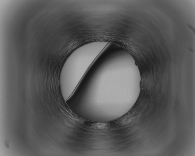 X0000092000479200709061244