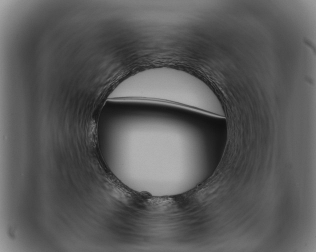 X0000092000480200709061244
