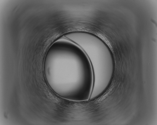X0000092000481200709061243