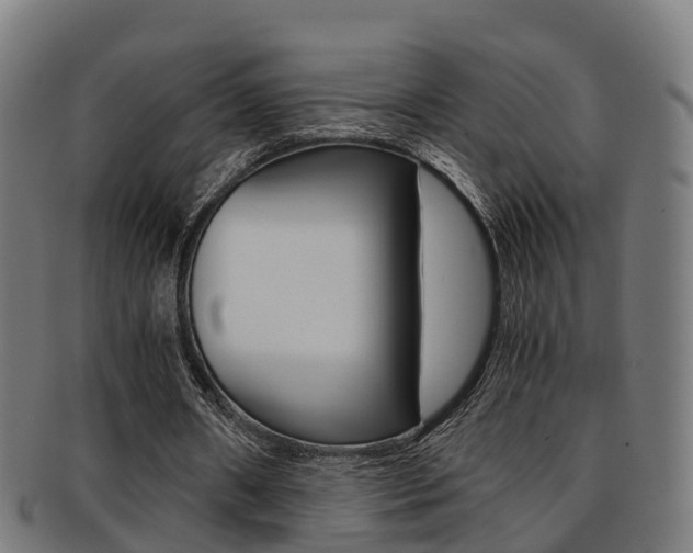 X0000092000482200709061243