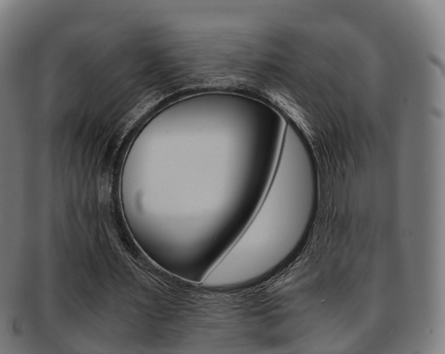 X0000092000483200709061243