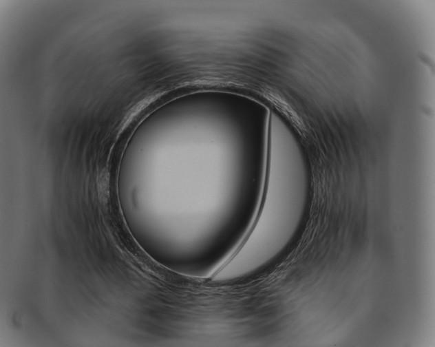 X0000092000484200709061243
