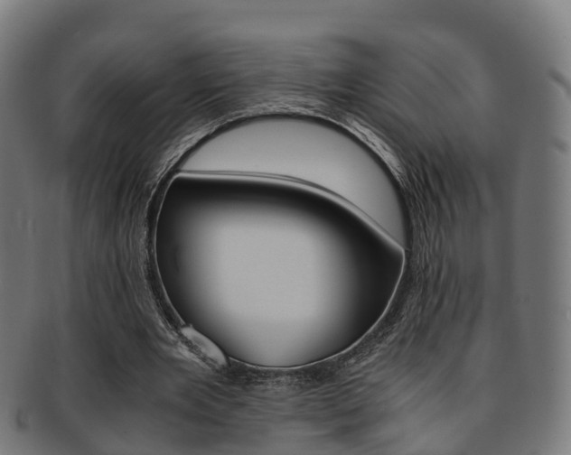 X0000092000485200709061243