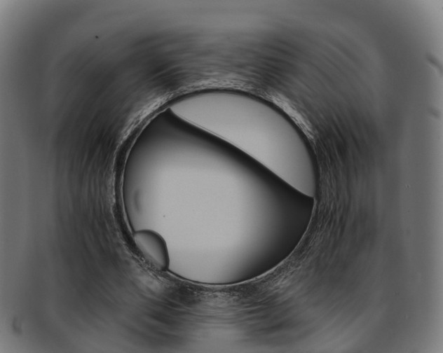 X0000092000486200709061243