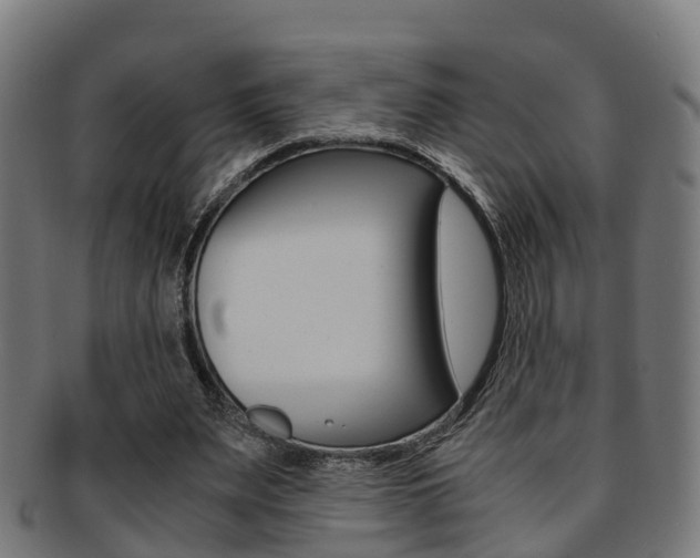 X0000092000487200709061243