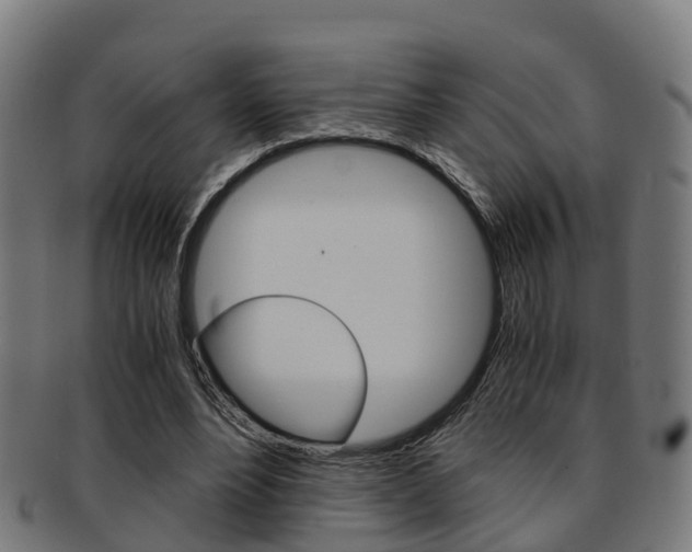 X0000092000488200709061243
