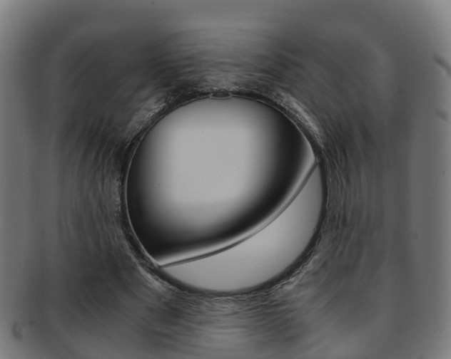 X0000092000489200709061243