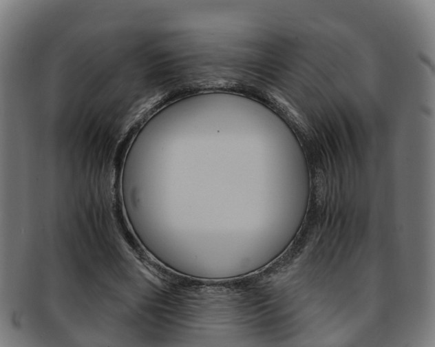X0000092000490200709061243