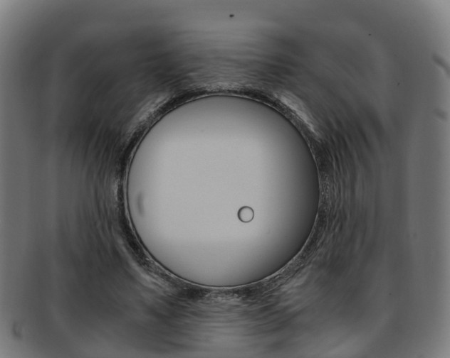 X0000092000491200709061243