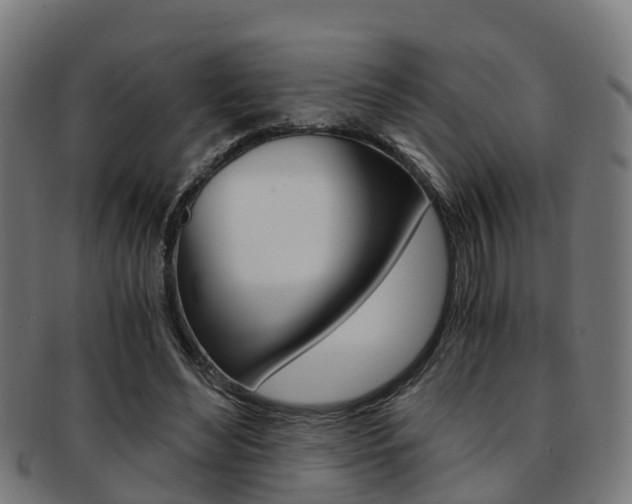 X0000092000492200709061243