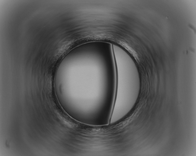 X0000092000493200709061243