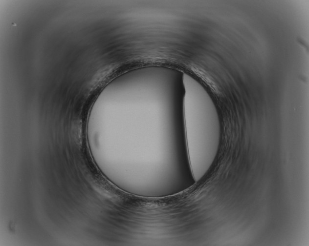 X0000092000494200709061243