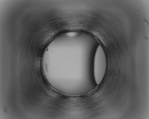 X0000092000495200709061243