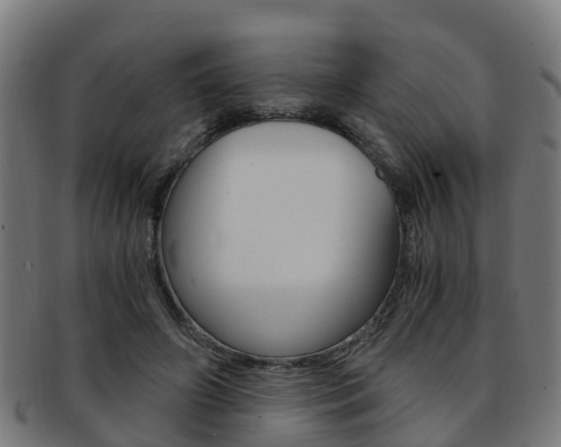 X0000092000498200709061243