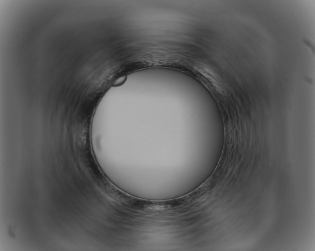 X0000092000499200709061243