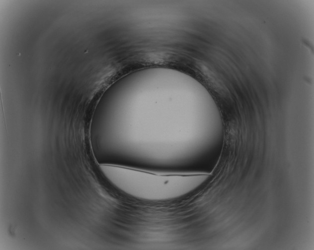 X0000092000500200709061243