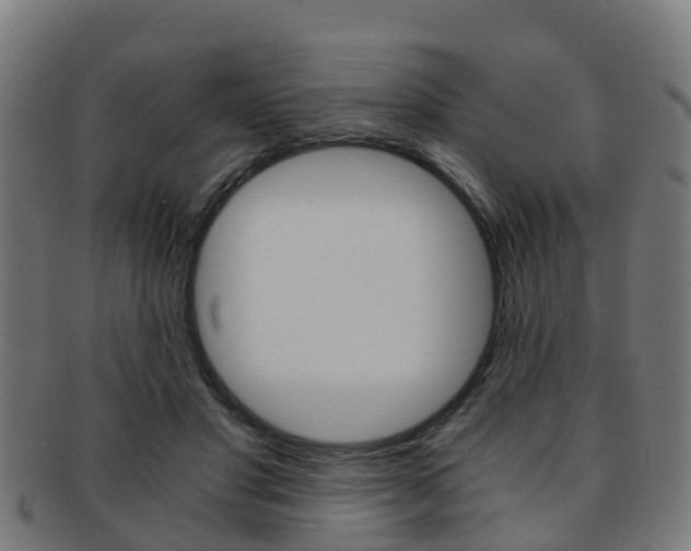 X0000092000501200709061243