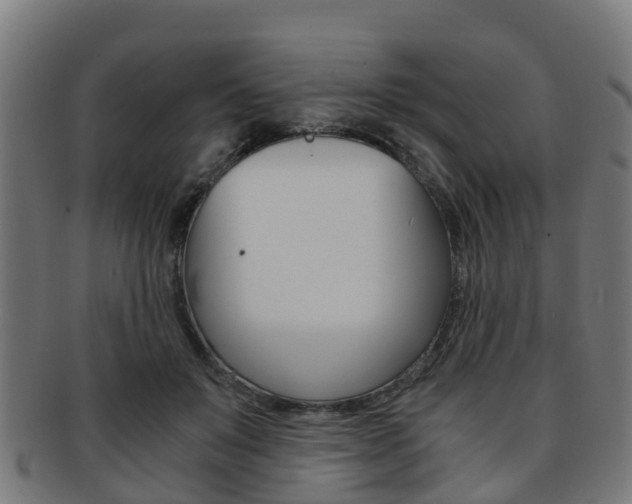 X0000092000503200709061243