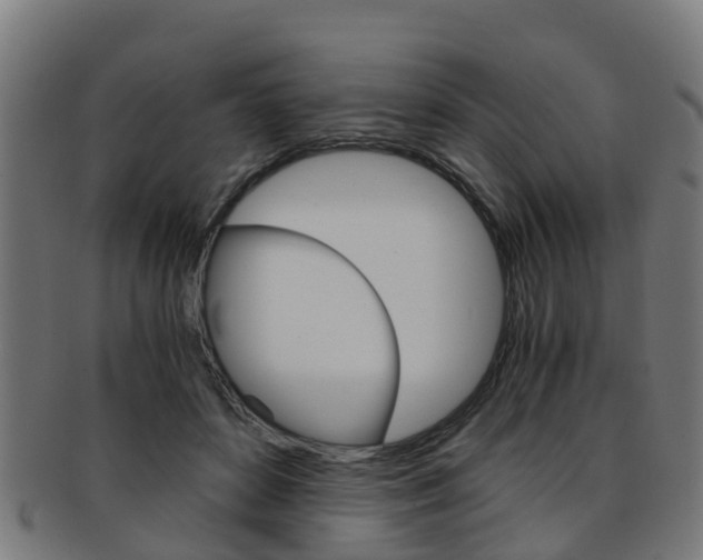 X0000092000504200709061243