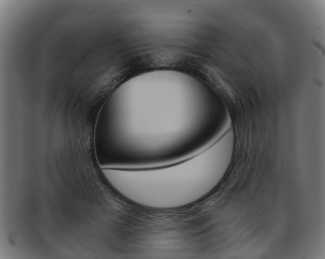 X0000092000505200709061243