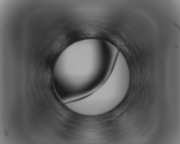 X0000092000509200709061243