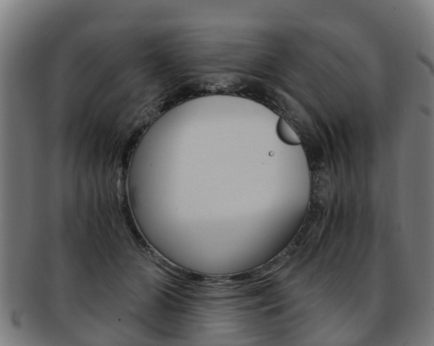 X0000092000510200709061243