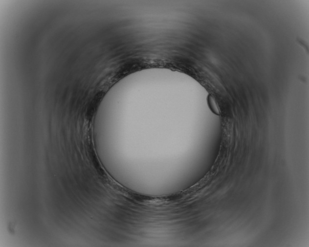 X0000092000511200709061243