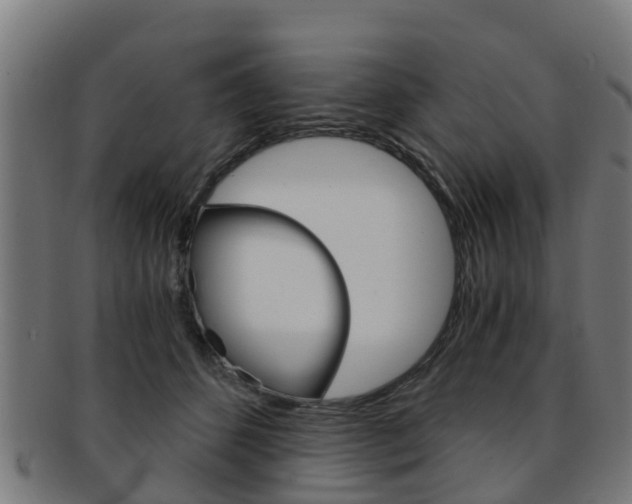 X0000092000512200709061243