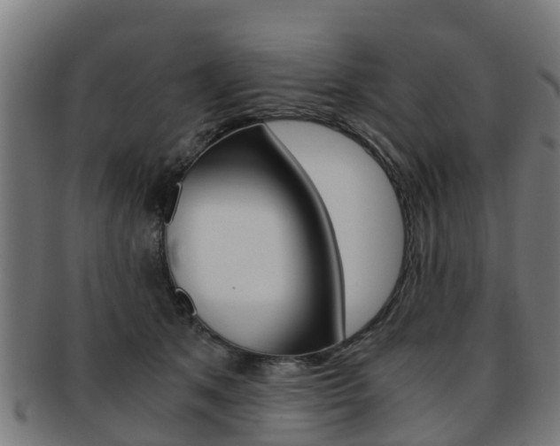 X0000092000513200709061243