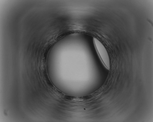 X0000092000515200709061242
