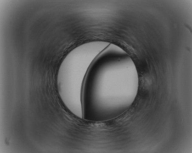 X0000092000517200709061242