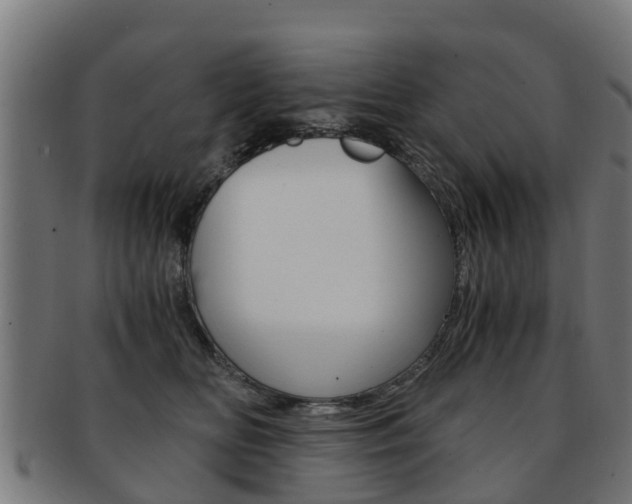 X0000092000518200709061242