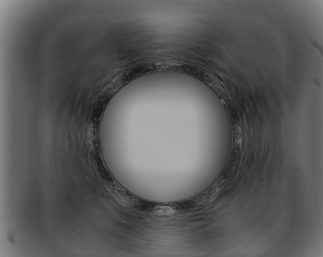 X0000092000519200709061242