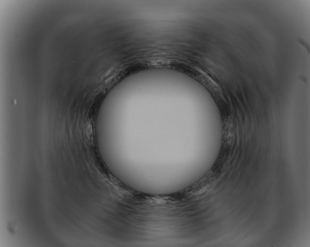 X0000092000523200709061242