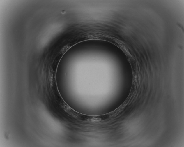 X0000092000525200709061242