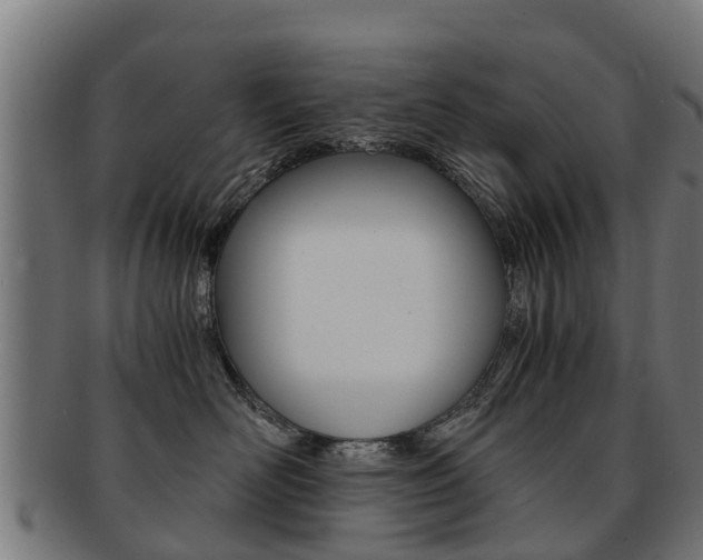 X0000092000526200709061242