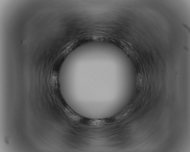 X0000092000527200709061242