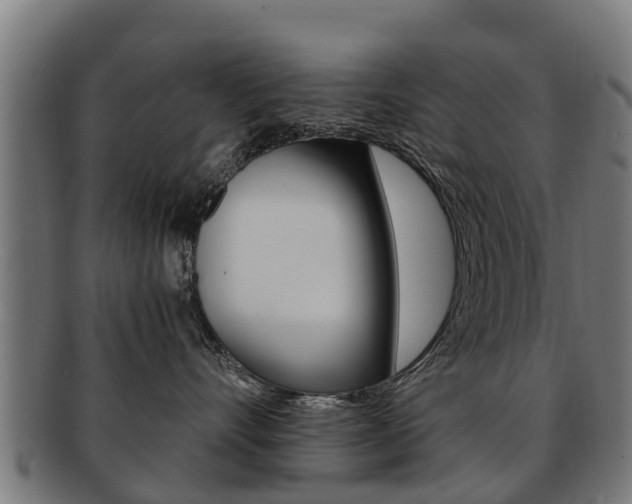 X0000092000528200709061242