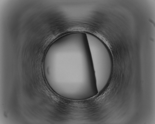 X0000092000529200709061242
