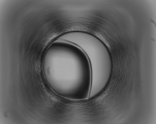 X0000092000530200709061242
