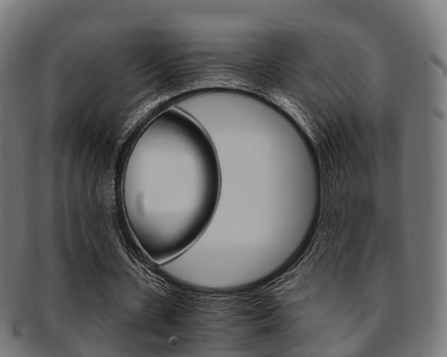 X0000092000531200709061242