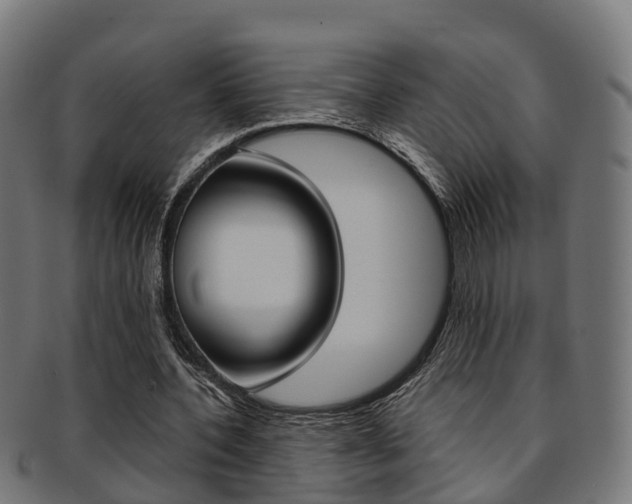 X0000092000532200709061242