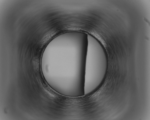 X0000092000533200709061242