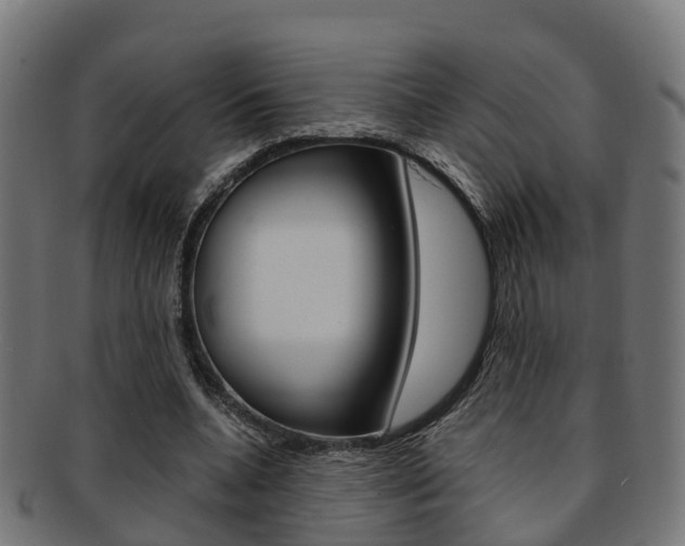 X0000092000536200709061242