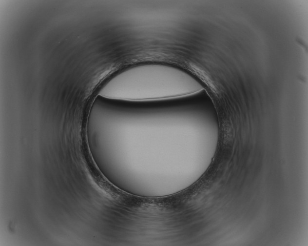 X0000092000538200709061242