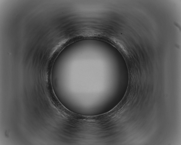 X0000092000539200709061242