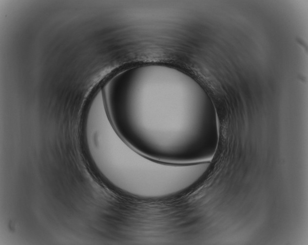 X0000092000540200709061242